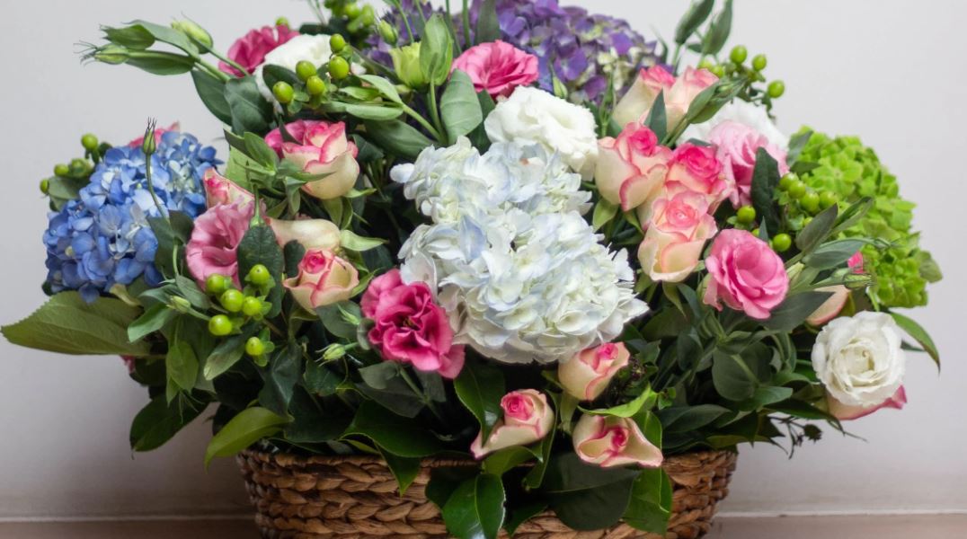 Beautiful Flowers and Bouquets