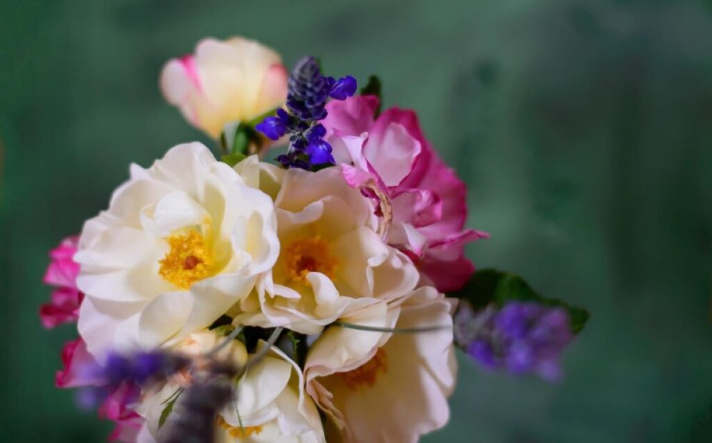 flower shop crows nest