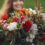 Crows Nest Flower Shop: Stunning Floral Arrangements for Every Budget